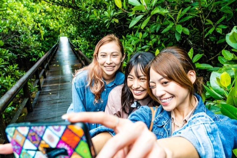 やんばる国立公園　東村ふれあいヒルギ公園