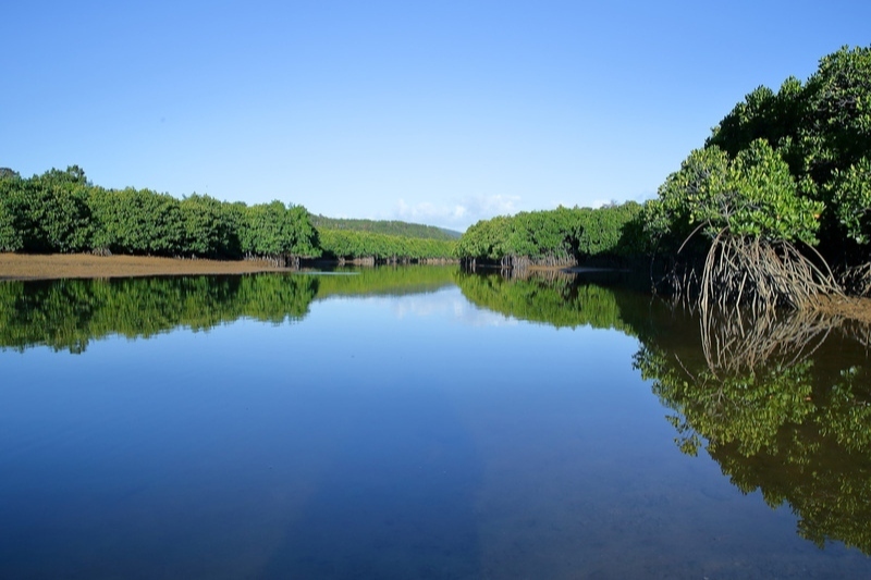 ヒルギ公園